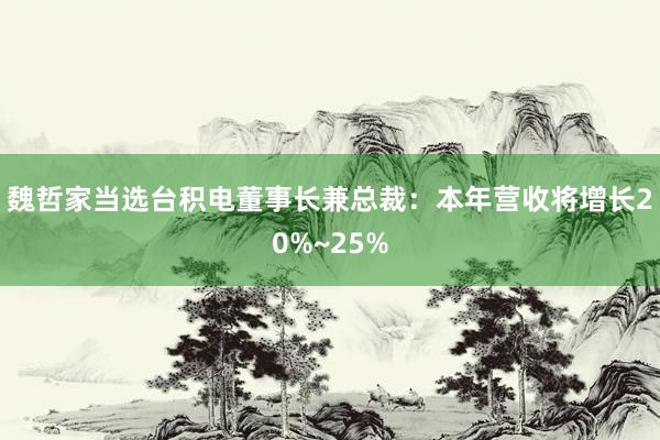 魏哲家当选台积电董事长兼总裁：本年营收将增长20%~25%