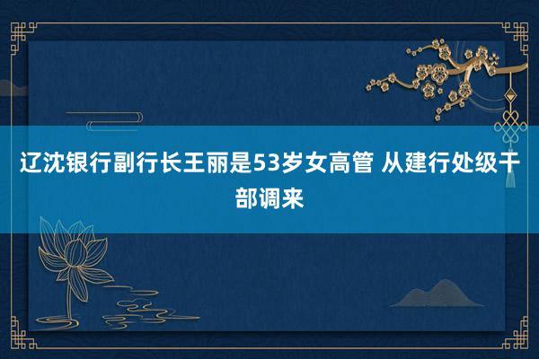 辽沈银行副行长王丽是53岁女高管 从建行处级干部调来