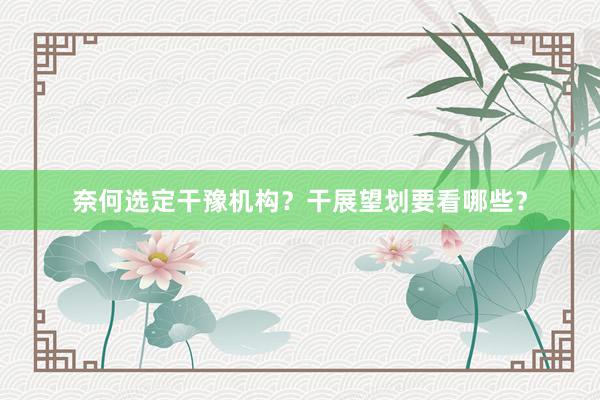 奈何选定干豫机构？干展望划要看哪些？