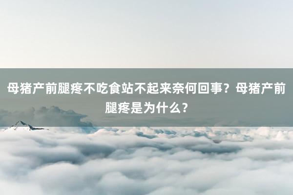 母猪产前腿疼不吃食站不起来奈何回事？母猪产前腿疼是为什么？