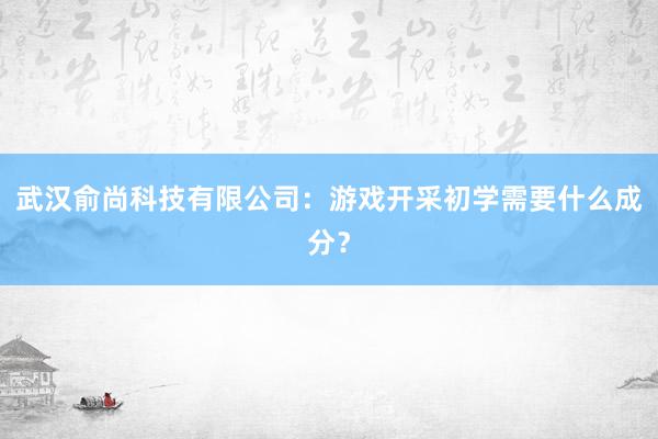 武汉俞尚科技有限公司：游戏开采初学需要什么成分？