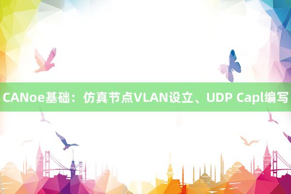 CANoe基础：仿真节点VLAN设立、UDP Capl编写