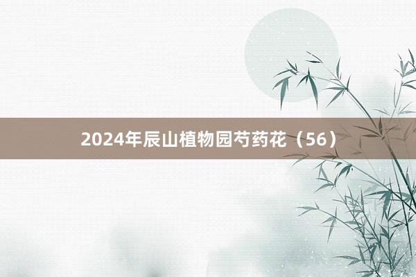 2024年辰山植物园芍药花（56）