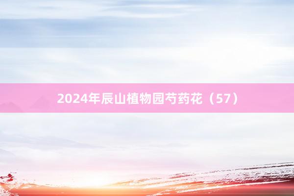 2024年辰山植物园芍药花（57）