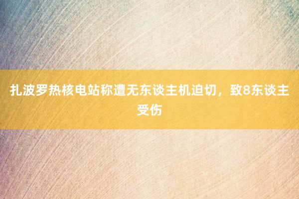 扎波罗热核电站称遭无东谈主机迫切，致8东谈主受伤