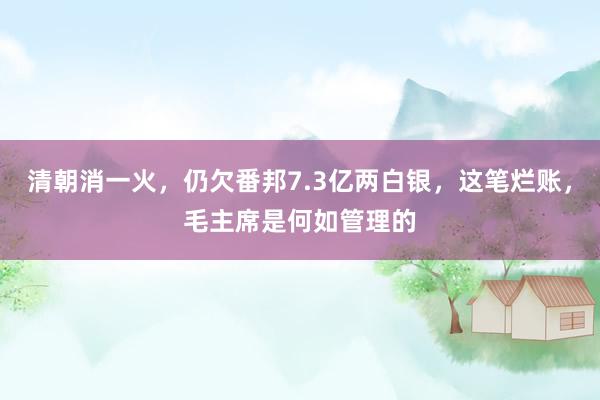 清朝消一火，仍欠番邦7.3亿两白银，这笔烂账，毛主席是何如管理的