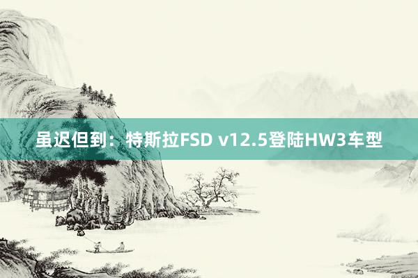 虽迟但到：特斯拉FSD v12.5登陆HW3车型