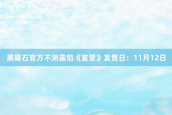 黑曜石官方不测露馅《宣誓》发售日：11月12日