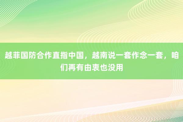 越菲国防合作直指中国，越南说一套作念一套，咱们再有由衷也没用