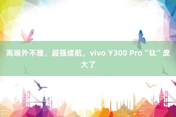 高端外不雅，超强续航，vivo Y300 Pro“钛”庞大了