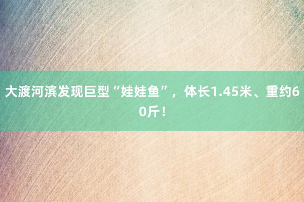 大渡河滨发现巨型“娃娃鱼”，体长1.45米、重约60斤！