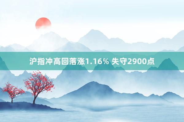 沪指冲高回落涨1.16% 失守2900点