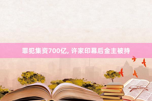 罪犯集资700亿, 许家印幕后金主被持