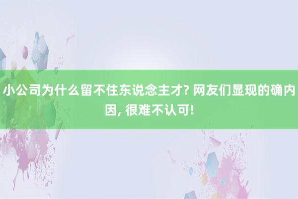 小公司为什么留不住东说念主才? 网友们显现的确内因, 很难不认可!