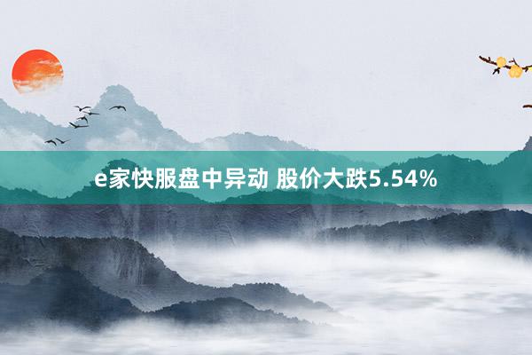 e家快服盘中异动 股价大跌5.54%